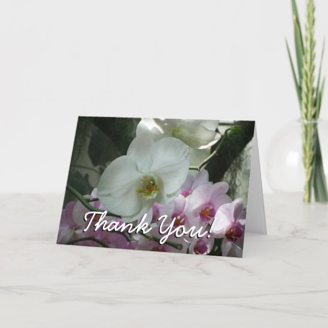 White and Purple Orchids Thank You Card (Front)