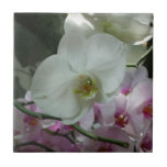 White and Purple Orchids Tile