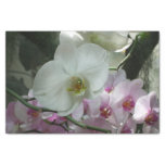 White and Purple Orchids Tissue Paper