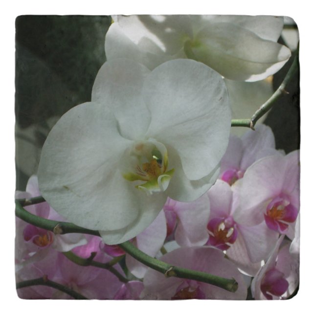 White and Purple Orchids Trivet (Front)