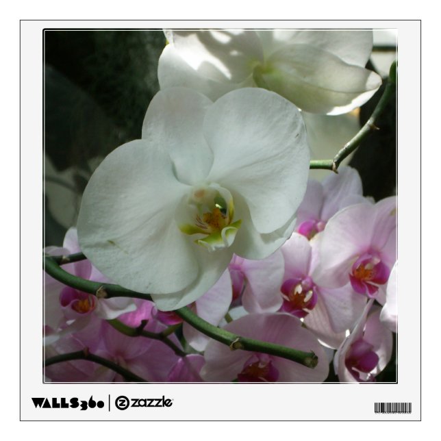 White and Purple Orchids Wall Sticker (Front)