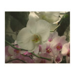 White and Purple Orchids Wood Wall Art