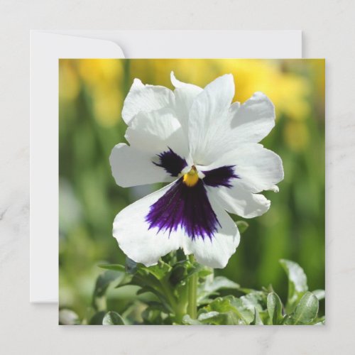 White and Purple Pansy Bridal Shower Invitation