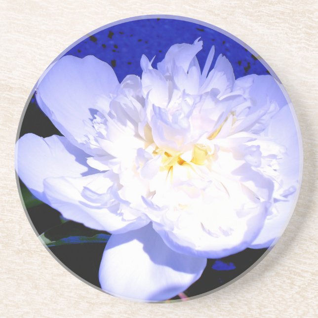White and purple Peony Drink Coaster (Front)