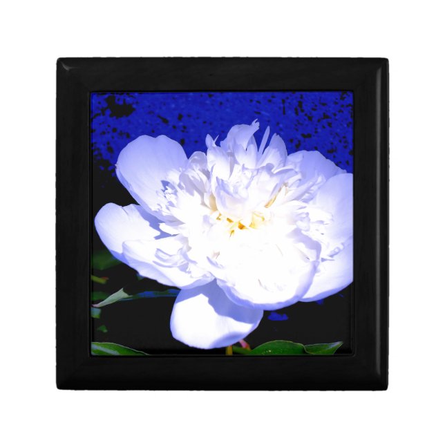White and purple Peony Gift Box (Front)