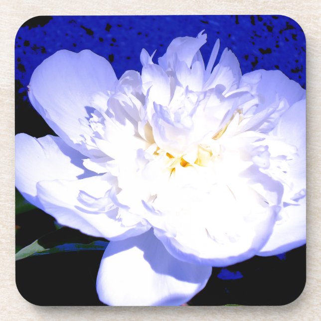 White and purple peony photo beverage coaster (Front)
