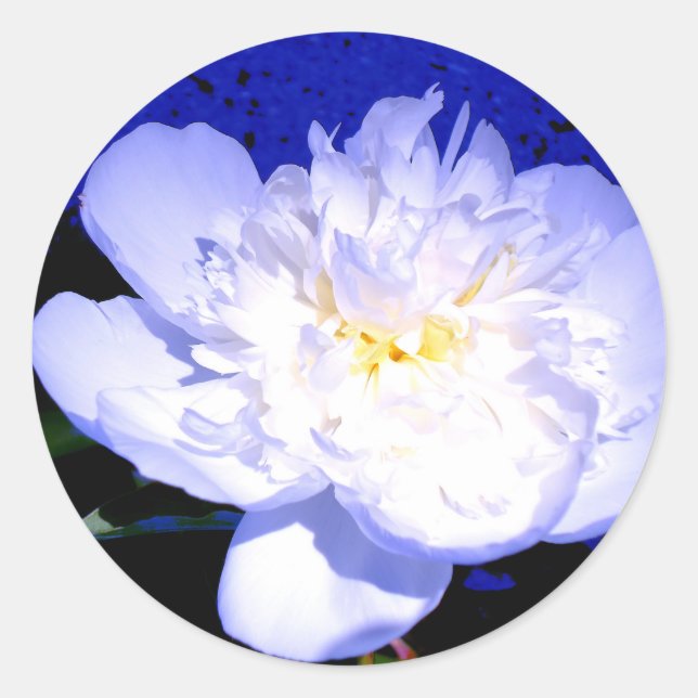 White and purple Peony photo Classic Round Sticker (Front)