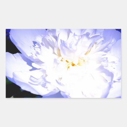 White and purple Peony photo Rectangular Sticker