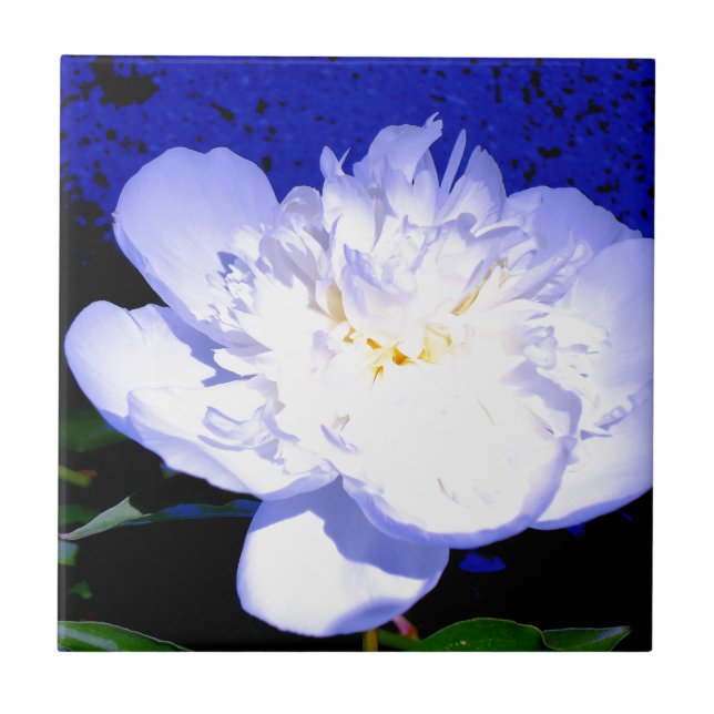 White and purple peony photo tile (Front)