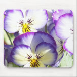 White and Purple Violas Mouse Pads