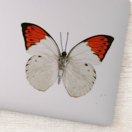 White and Red Butterfly Sticker