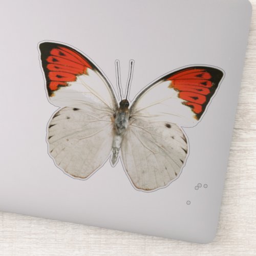 White and Red Butterfly Sticker