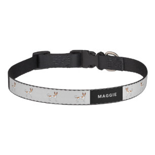 White And Red Ibizan Hound Smooth Coat Dog & Name Pet Collar