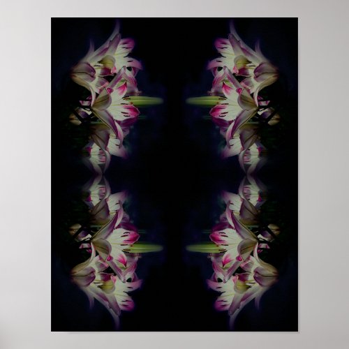 White And Red Lily Flowers Abstract Poster