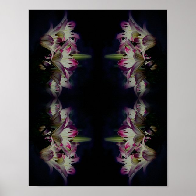 White And Red Lily Flowers Abstract Poster (Front)