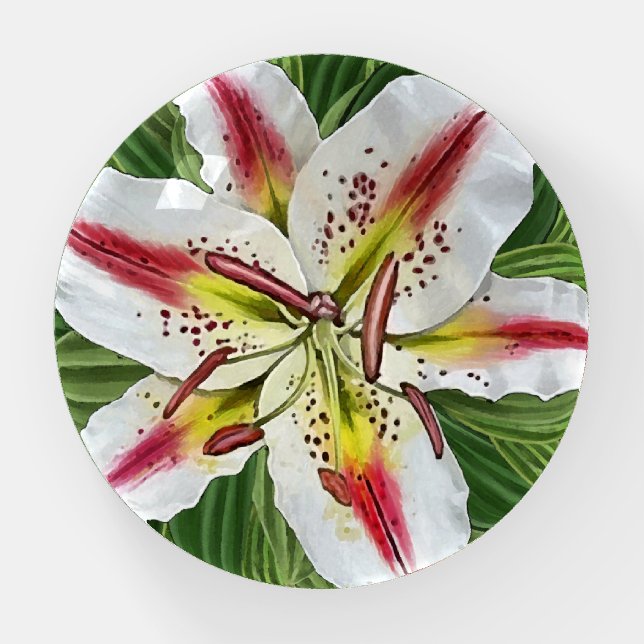 White and Red Oriental Lily Paperweight (Front)