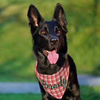White and Red Pet Bandana Collar