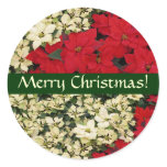 White and Red Poinsettias Christmas Sticker