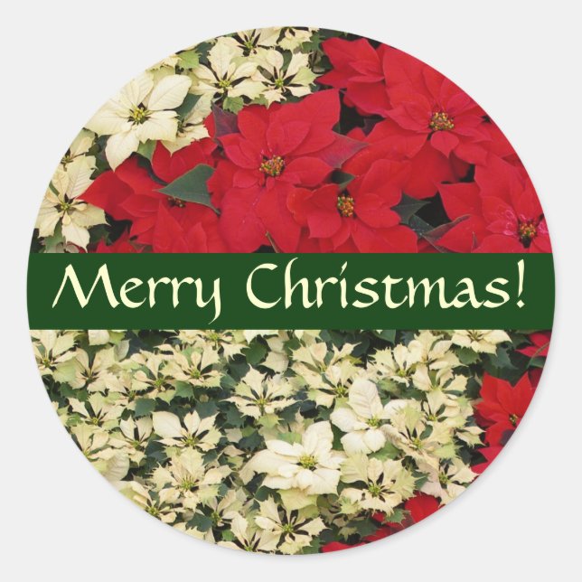 White and Red Poinsettias Christmas Sticker (Front)