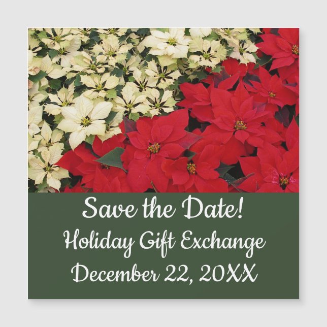 White and Red Poinsettias I Holiday Floral (Front)