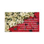 White and Red Poinsettias I Holiday Floral Business Card