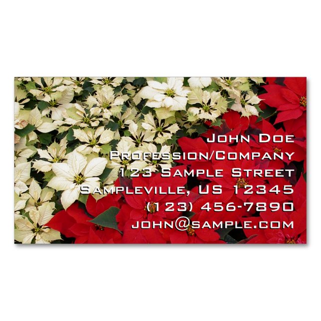 White and Red Poinsettias I Holiday Floral Business Card Magnet (Front)