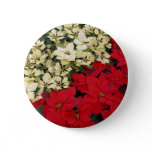 White and Red Poinsettias I Holiday Floral Button