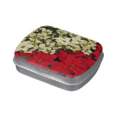 White and Red Poinsettias I Holiday Floral Candy Tin (Side)