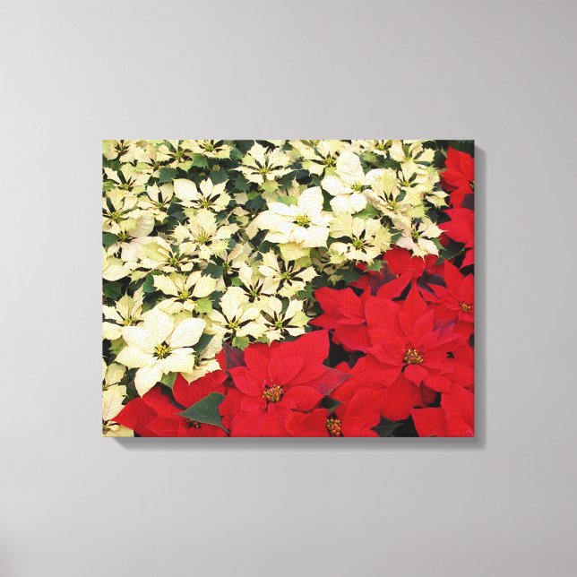 White and Red Poinsettias I Holiday Floral Canvas Print (Front)