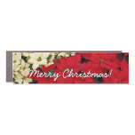 White and Red Poinsettias I Holiday Floral Car Magnet