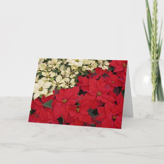 White and Red Poinsettias I Holiday Floral Card (Front)