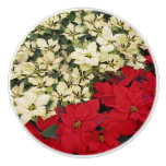 White and Red Poinsettias I Holiday Floral Ceramic Knob