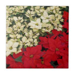 White and Red Poinsettias I Holiday Floral Ceramic Tile