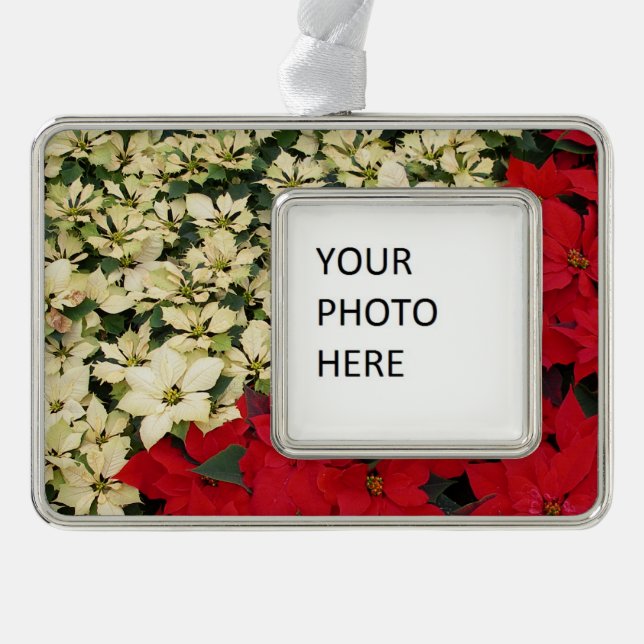 White and Red Poinsettias I Holiday Floral Christmas Ornament (Front)