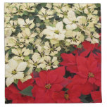 White and Red Poinsettias I Holiday Floral Cloth Napkin