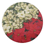 White and Red Poinsettias I Holiday Floral Eraser
