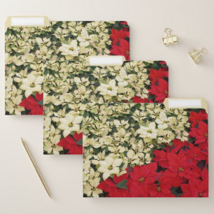 White and Red Poinsettias I Holiday Floral File Folder