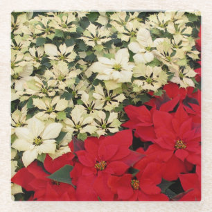White and Red Poinsettias I Holiday Floral Glass Coaster