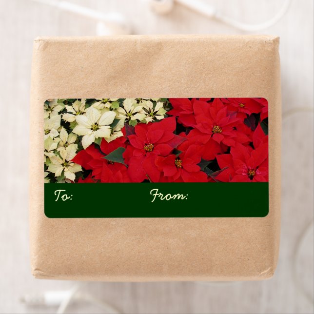 White and Red Poinsettias I Holiday Floral Label (Insitu)