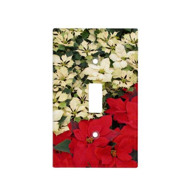 White and Red Poinsettias I Holiday Floral Light Switch Cover (Front)