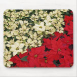 White and Red Poinsettias I Holiday Floral Mouse Pad