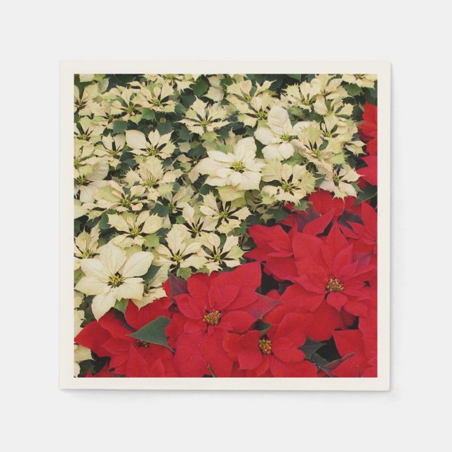 White and Red Poinsettias I Holiday Floral Napkins (Front)