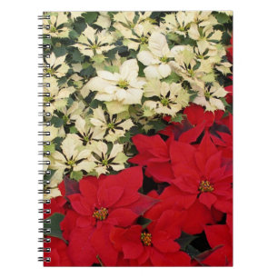 White and Red Poinsettias I Holiday Floral Notebook