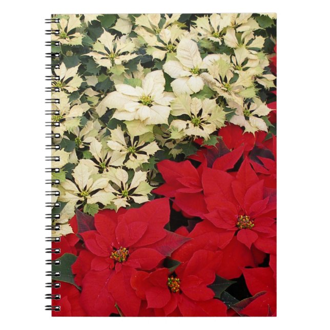 White and Red Poinsettias I Holiday Floral Notebook (Front)