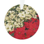 White and Red Poinsettias I Holiday Floral Ornament
