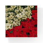 White and Red Poinsettias I Holiday Floral Paperweight