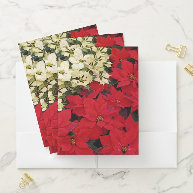White and Red Poinsettias I Holiday Floral Pocket Folder (In Situ)