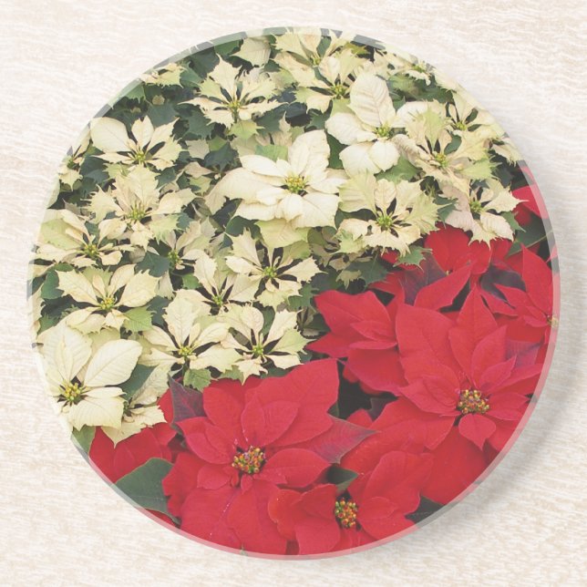 White and Red Poinsettias I Holiday Floral Sandstone Coaster (Front)