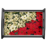 White and Red Poinsettias I Holiday Floral Serving Tray