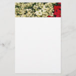 White and Red Poinsettias I Holiday Floral Stationery